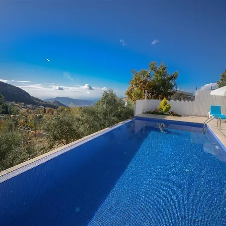 Bal 1 Kaş